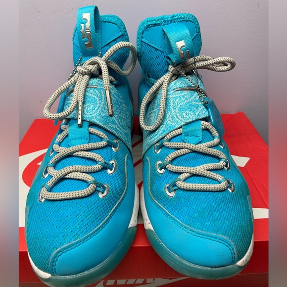 Nike LeBron 14 “rick flair” - Picture 4 of 6